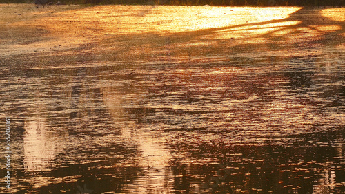 Enchanting marsh surface in the soft light of the rising sun