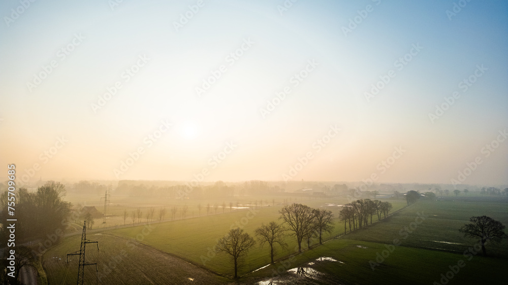 The sun's gentle rise diffuses through mist, casting a hazy glow over a quiet rural expanse dotted with trees. Soft Dawn Light Over a Misty Rural Landscape with Scattered Trees. High quality photo