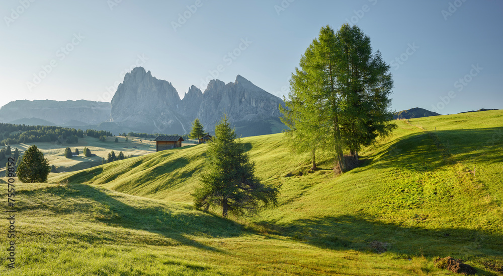Obraz premium Langkofel, Seiser Alm, Südtirol, Italien