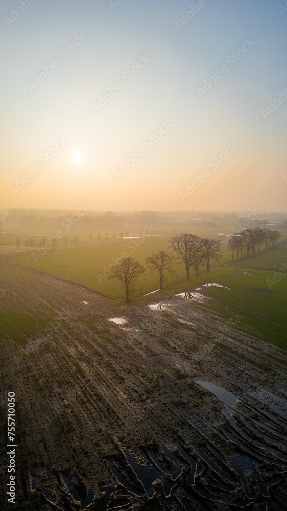 Portrait of a hushed farmland at sunrise, where dew glistens on fields and silhouetted trees stand against the soft dawn light. Sunrise Over a Dewy Farmland: A Portrait of Early Morning Agriculture