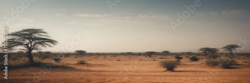 Tree Growing Amidst Dirt Field