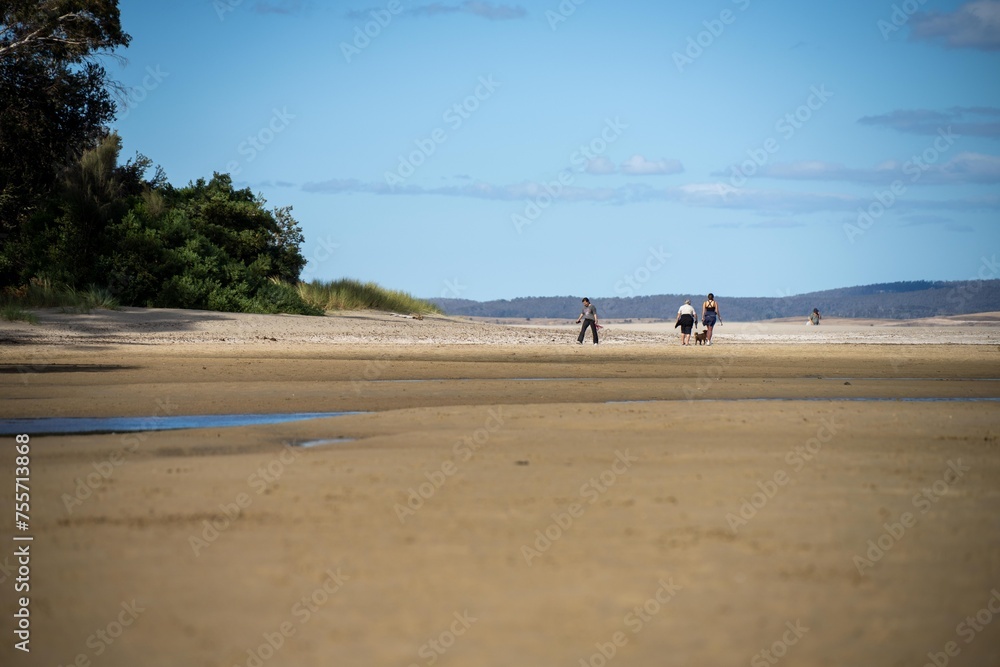 family walking on a beach in tasmania australia family walking on a beach in tasmania australia