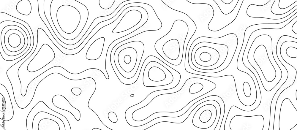 Abstract white topography vector background. Topographic map. Geographic mountain relief. counter map wavy line paper textrue. grid curve line abstract vector illustration . - obrazy, fototapety, plakaty 