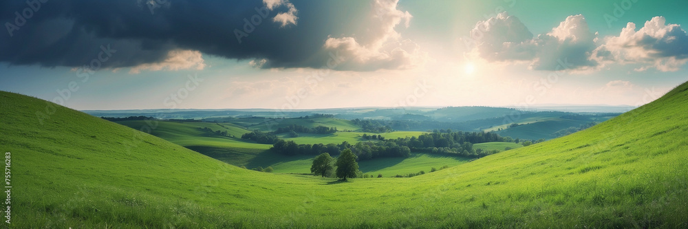 Fototapeta premium Green Field With Trees and Clouds