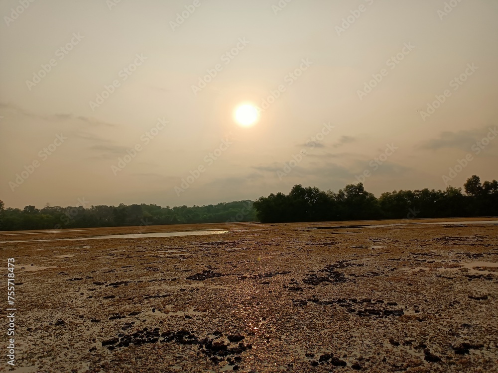 Obraz premium Views of the beautiful landscape of Kerala, 