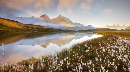 Wollgras am Lac de Cerces, Le Grand Galibier, Rhones Alpes, Hautes-Alpes, Frankreich