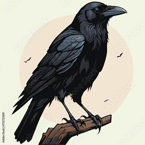 vector isolated of black crow