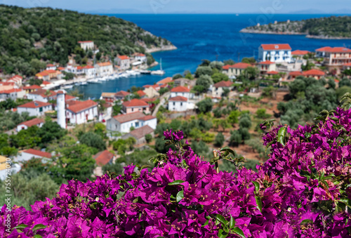 Landscape with bougainvillea and part of the village of Kioni in Ithaka island, Greece in summer