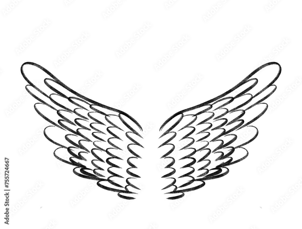 Obraz premium illustration of angel wings on white png background, sketch, drawn, isolated on white - transparent background clipart