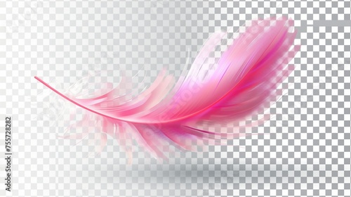 pink feather isolated on a transparent background, offering a delightful splash of colors with transparency.