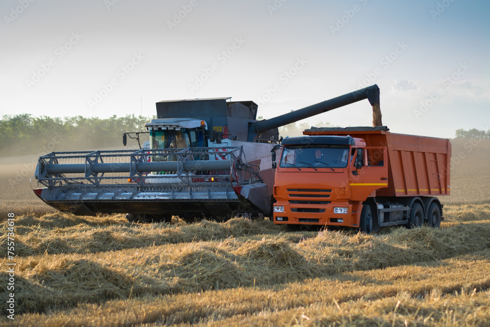 Harvester loading grain into truck, Harvester loading grain into truck,