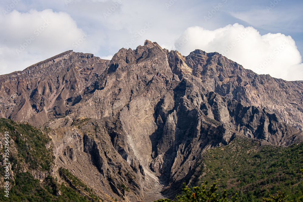 Fototapeta premium 桜島