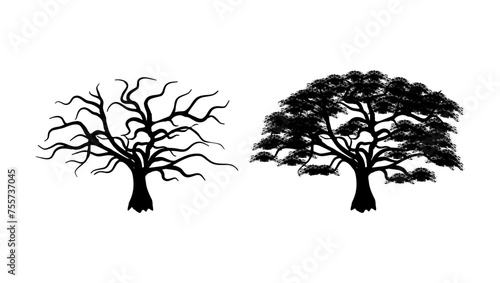 English Oak , black isolated silhouette 