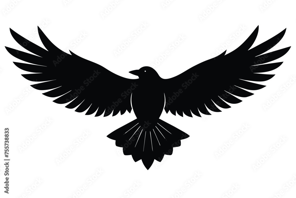 Obraz premium The underside of a flying crow Vector Design