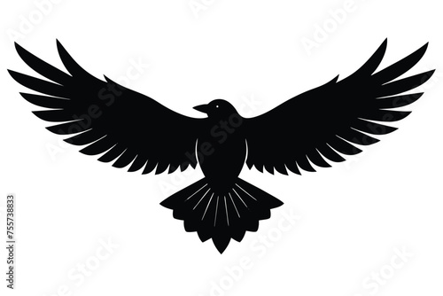 The underside of a flying crow Vector Design © Creative