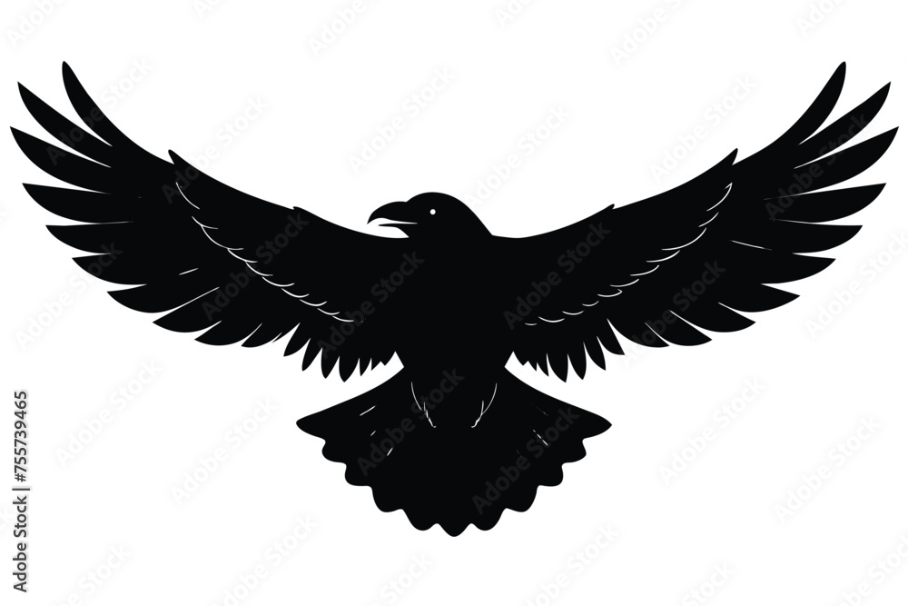 Obraz premium The underside of a flying crow Vector Design