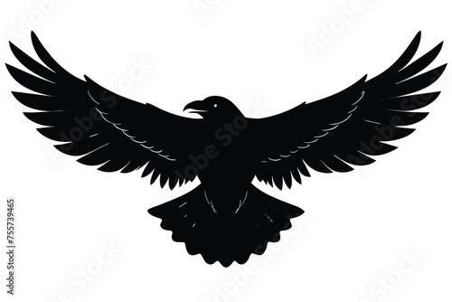 The underside of a flying crow Vector Design