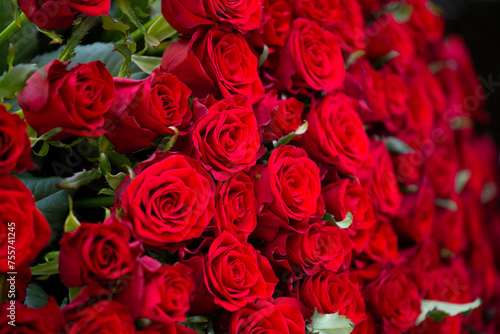 Huge bouquet of beautiful red roses as background, floral background.