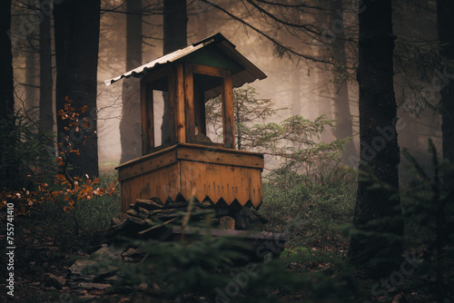 Góry Bialskie  #Poland #nature #river #landscape #scenicview