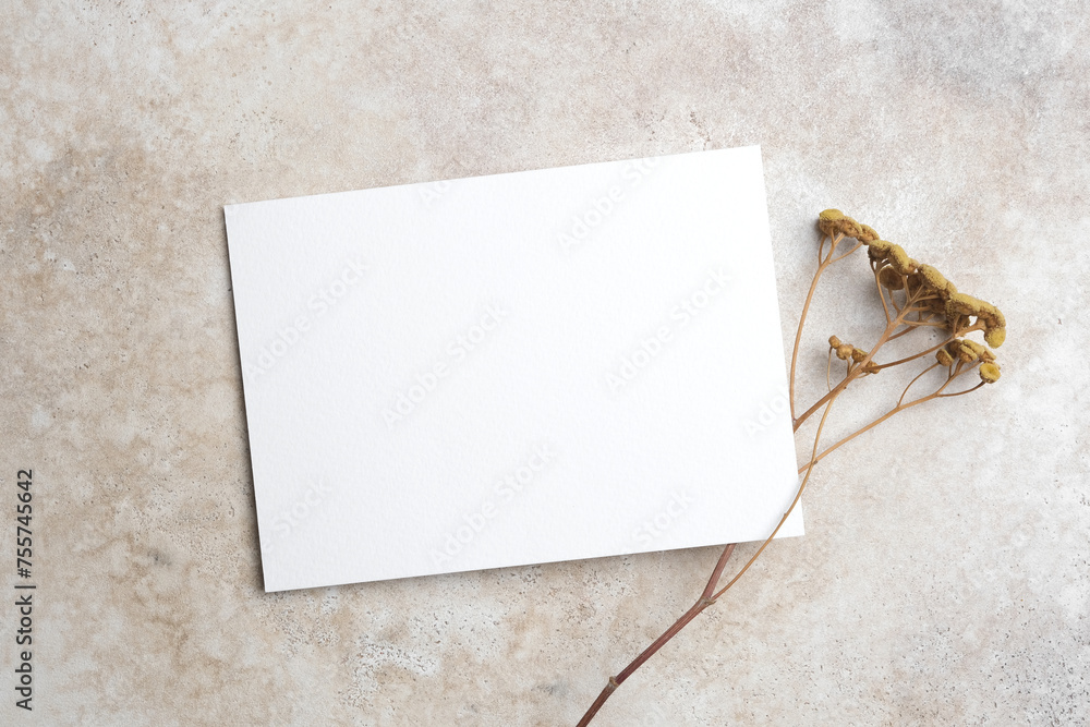 Blank invitation or greeting card mockup with dry flower decor, top view with copy space Blank invitation or greeting card mockup with dry flower decor, top view with copy space