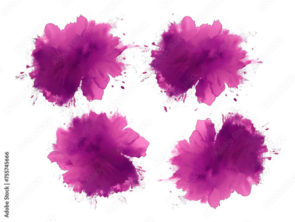 Set of purple paint color powder festival explosion burst isolated on transparent background, transparency image, removed background - obrazy, fototapety, plakaty 