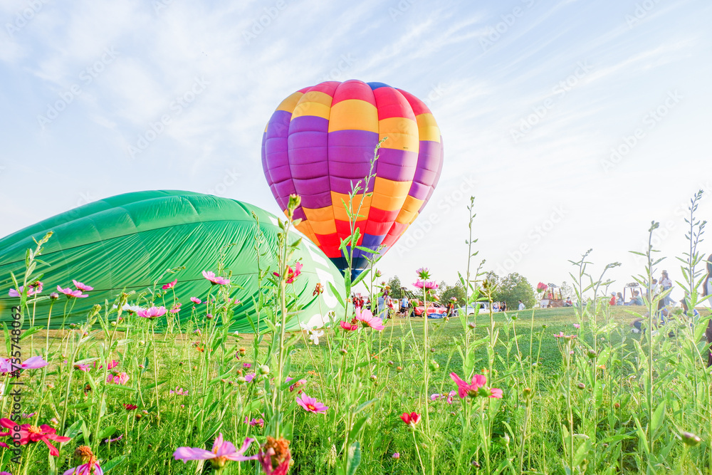 Fototapeta premium Hot air balloons challenge with cosmos flowers near lake.