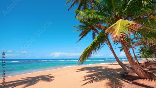 Beautiful views of the Hawaiian beach scenery. Palm beach and tropical sea on a sunny day. Exotic sea coast landscape with yellow sand and blue sky. Luxury resort background for summer vacation.