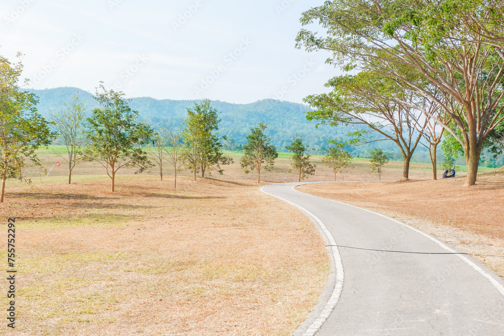 Road in the middle of the forest and Winding gravel road through sunny green Forest,ascending to the top of the hill with mountain nature landscape.