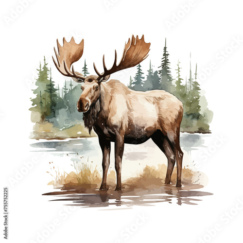 Watercolor moose clipart for graphic resources