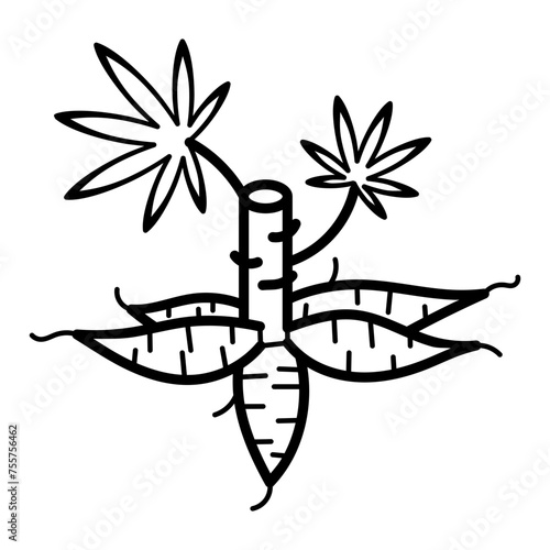 Cassava plant icon