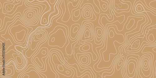  Abstract topographic background. Blank topographic contour map subtle. Wood pattern vector background design. wavy paper curved relief background. Geographic contour map. Vintage style design.
