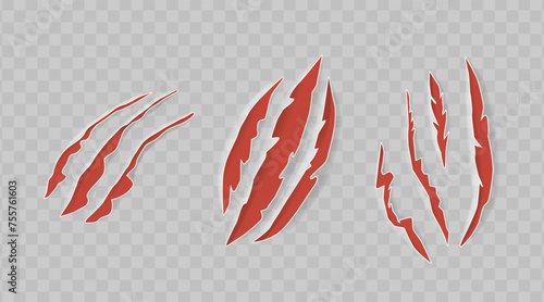Red Claw Marks. Slender, Animal Scratches or Gashes on a Material, Resulting from the Acute Claws or Talons of Beasts