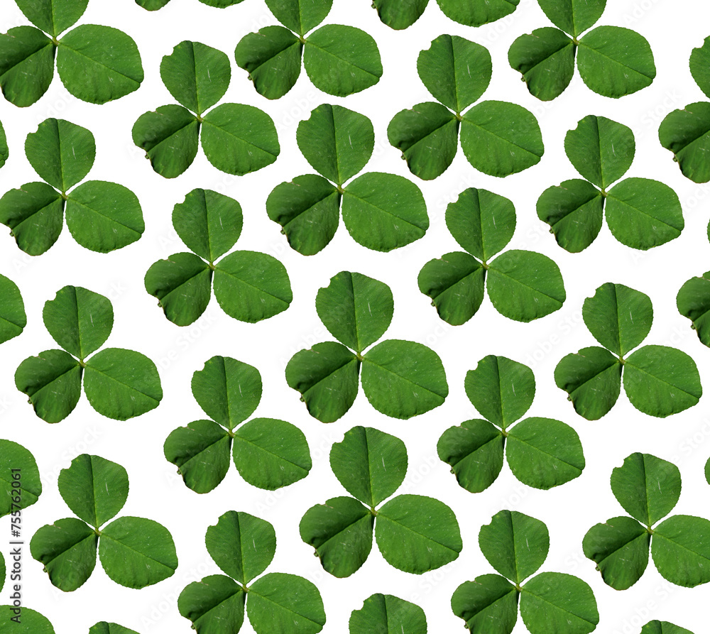pattern with green leaves. Leaves Pattern . Leaves isolated In White background  