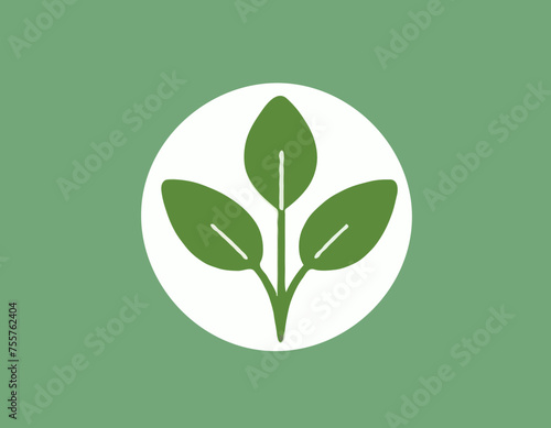 Rucola or arugula icon 
