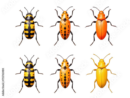 Collection set of soldier beetle isolated on transparent background, transparency image, removed background