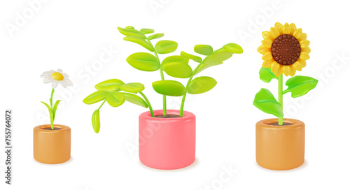 3d Houseplant Concept Chamomile and Sunflower in Cachepots Set Cartoon Style. Vector illustration