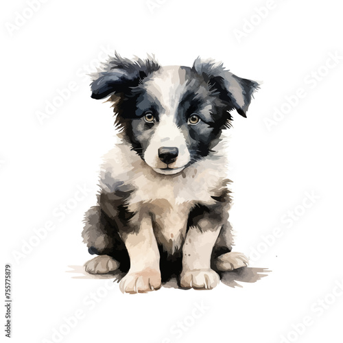 watercolor puppy border collie clipart for graphic resources -