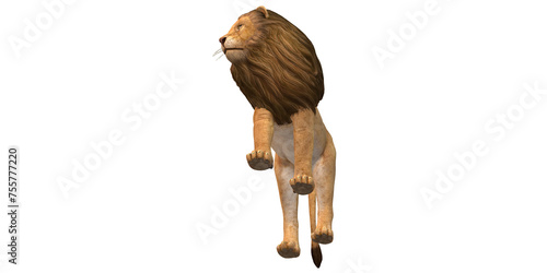 Lion isolated on a Transaprent BAckground