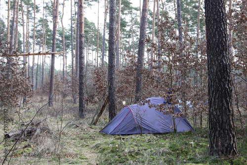 Wildes Campen, Camping im Wald