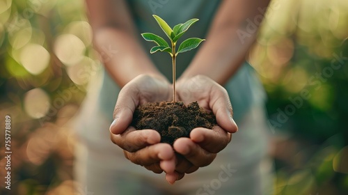 hands holding plant