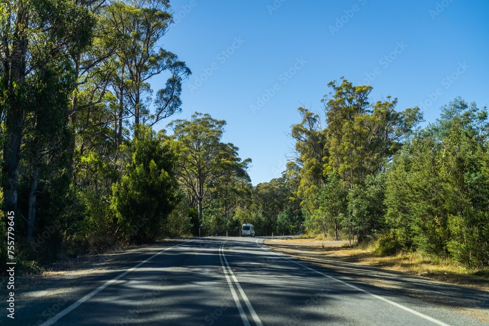 Fototapeta premium tourist traveling in a caravan exploring nature driving on a raod in the forest Cars Driving on a highway road, in australia