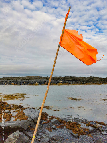 A flag on the rocky coast of the Barents Sea. Beautiful view of the cliffs and the coast of the Rybachy and Sredny peninsulas, Murmansk region, the harsh beauty of the north photo