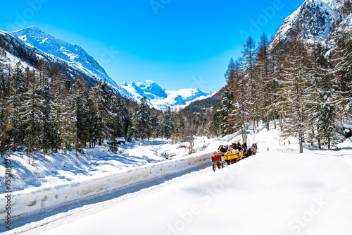 Fototapeta Val Roseg, in Engadine, Switzerland, in winter, with carriages carrying tourists