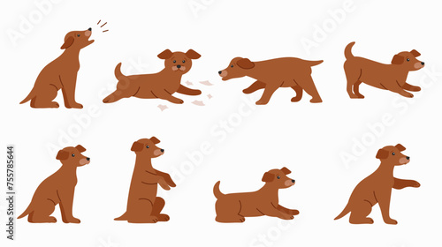 Dog in various poses isolated illustrations on white background.