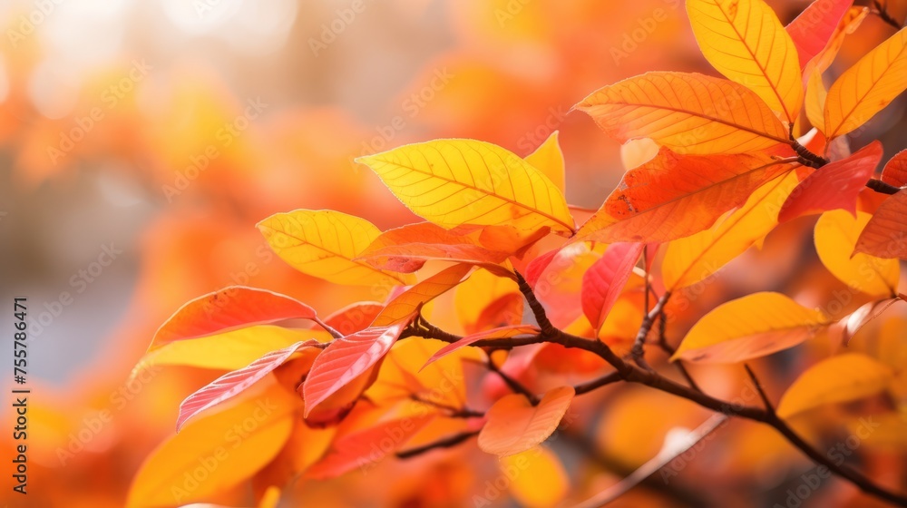 Leaves in a symphony of warm colors