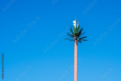 Telephone antennas hidden in a fake palm tree © SerFF79