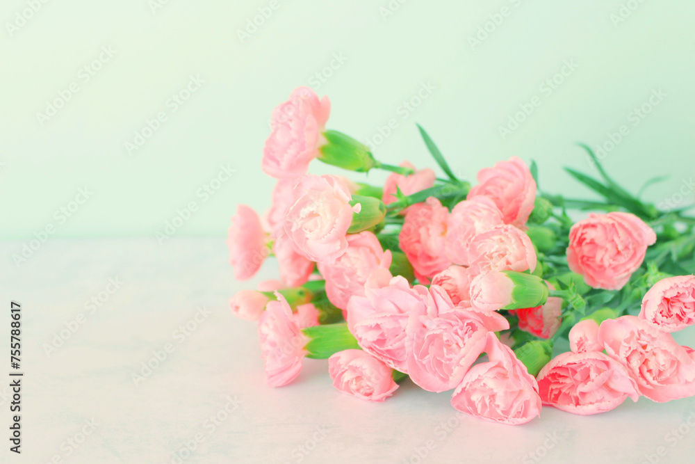 ピンクのカーネーションの花の背景 ピンクのカーネーションの花の背景