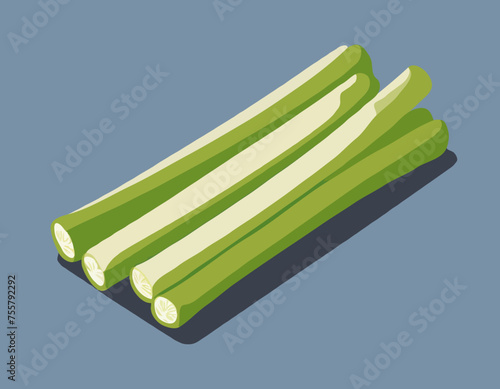 Celery Sticks