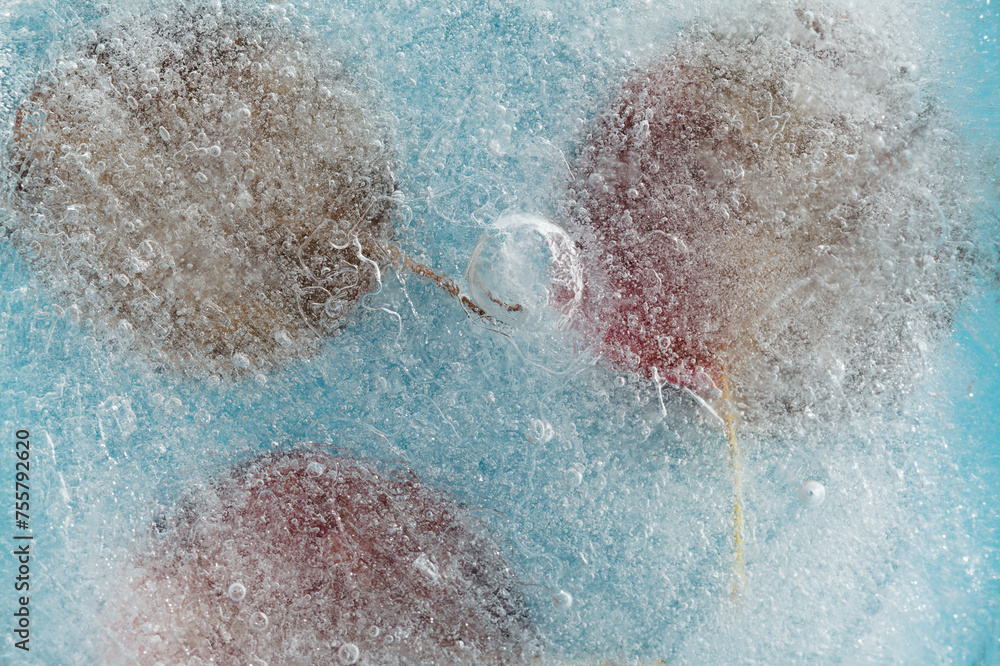 Plants frozen within a block of ice, air bubble texture 