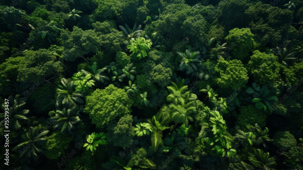 A hyper zoomed in perspective of a tropical forest